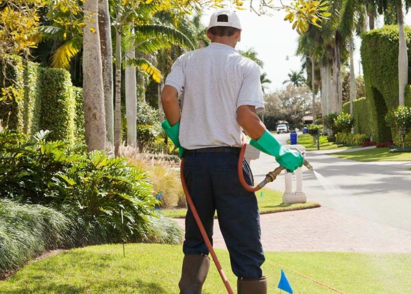 About Bastian VA Pest Control